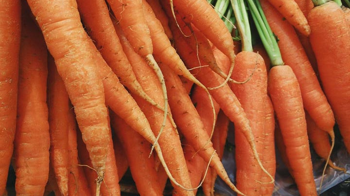 Will our organic and home grown vegetables still nourish us?