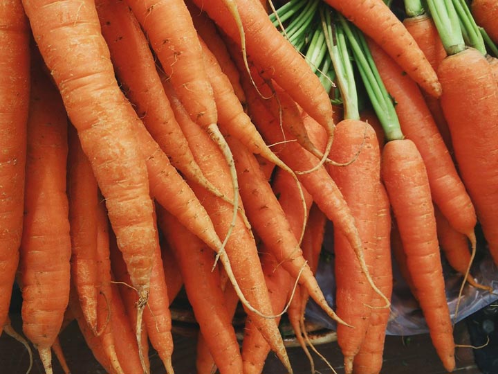 Will our organic and home grown vegetables still nourish us?