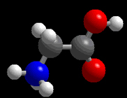 Amino Acids