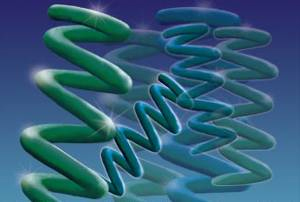 Spirulina as helix or spiral